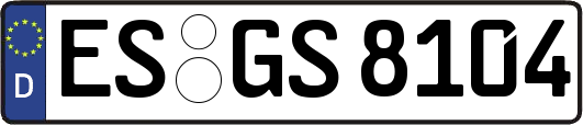 ES-GS8104