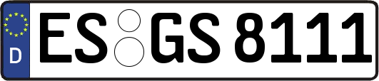 ES-GS8111