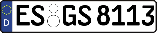 ES-GS8113
