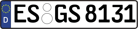 ES-GS8131
