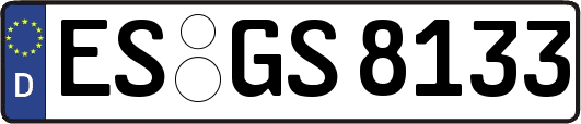 ES-GS8133