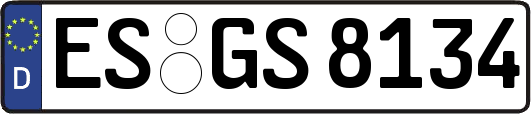 ES-GS8134