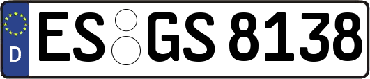 ES-GS8138