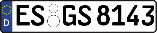 ES-GS8143