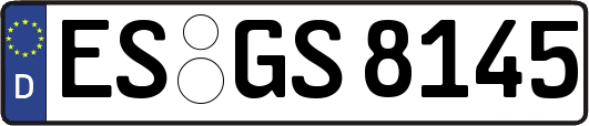 ES-GS8145