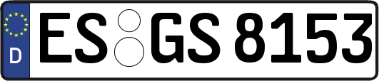 ES-GS8153