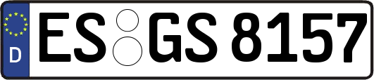 ES-GS8157