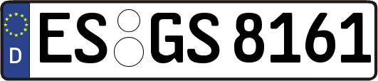 ES-GS8161