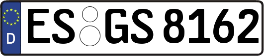 ES-GS8162
