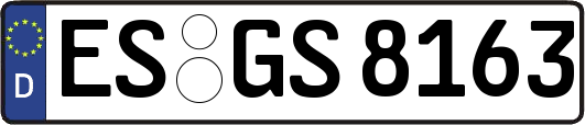 ES-GS8163
