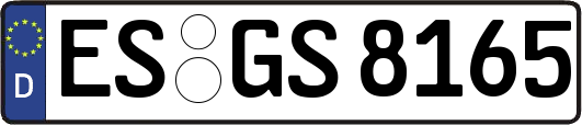 ES-GS8165
