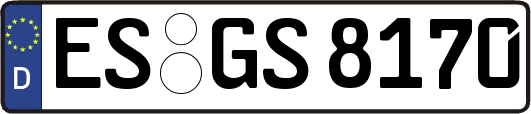 ES-GS8170