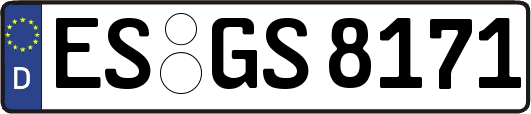 ES-GS8171