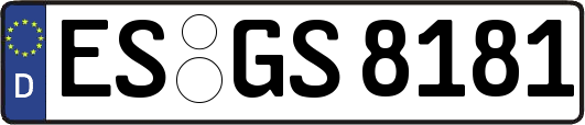 ES-GS8181