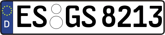 ES-GS8213