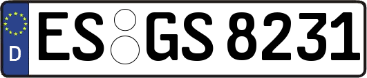 ES-GS8231