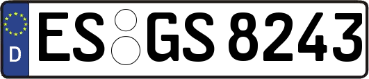 ES-GS8243