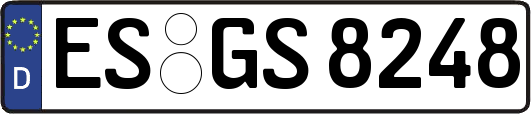 ES-GS8248
