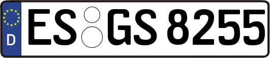 ES-GS8255