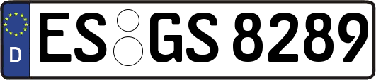 ES-GS8289