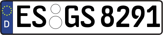 ES-GS8291