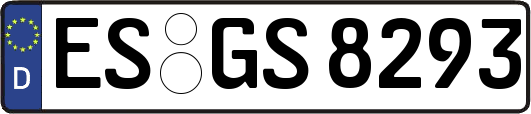 ES-GS8293