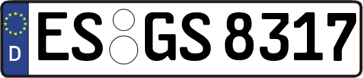 ES-GS8317