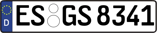 ES-GS8341
