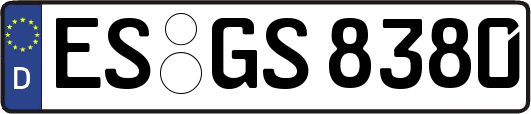 ES-GS8380