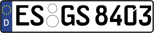ES-GS8403