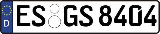 ES-GS8404