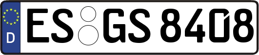 ES-GS8408