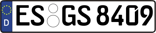 ES-GS8409