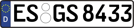 ES-GS8433