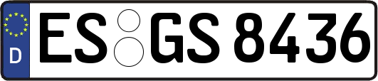 ES-GS8436