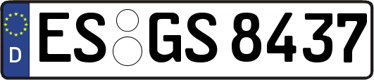 ES-GS8437