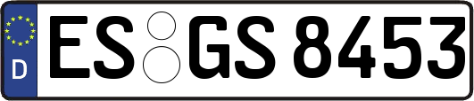 ES-GS8453