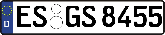 ES-GS8455