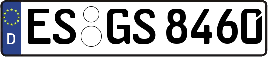 ES-GS8460