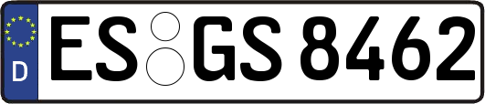 ES-GS8462