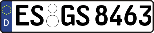 ES-GS8463