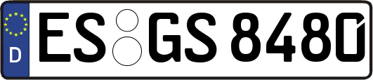 ES-GS8480