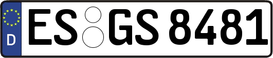 ES-GS8481