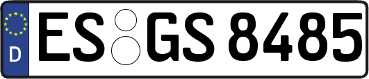 ES-GS8485