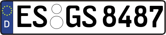 ES-GS8487