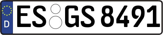 ES-GS8491