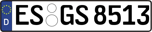 ES-GS8513
