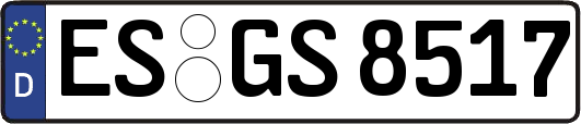 ES-GS8517