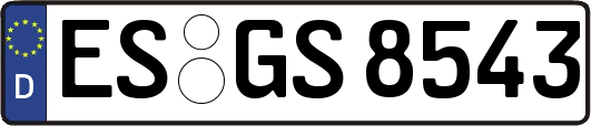 ES-GS8543