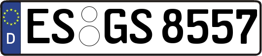 ES-GS8557